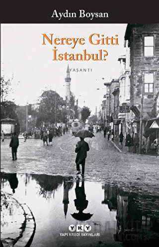 Nereye Gitti İstanbul? Aydın Boysan