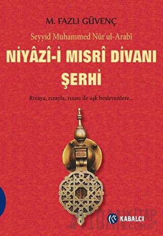 Niyazi-i Mısri Divanı Şerhi Seyyid Muhammed Nur'ul-Arabi