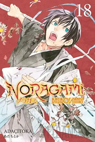 Noragami 18. Cilt Adaçitoka