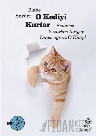 O Kediyi Kurtar: Senaryo Yazarken İhtiyaç Duyacağınız O Kitap! Blake S