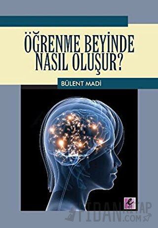 Öğrenme Beyinde Nasıl Oluşur? Bülent Madi