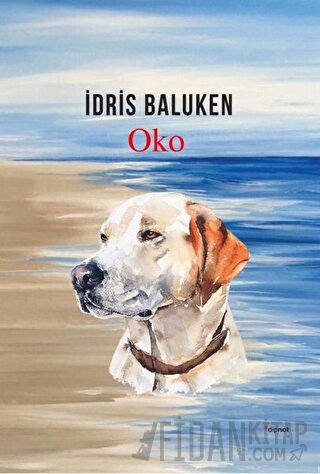 Oko İdris Baluken