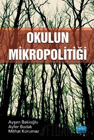 Okulun Mikropolitiği Ayfer Budak