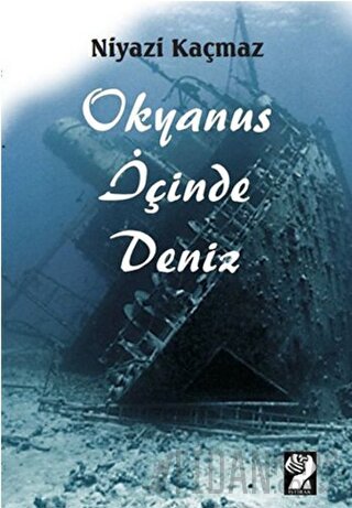 Okyanus İçinde Deniz Niyazi Kaçmaz