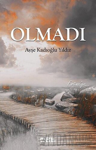 Olmadı Ayşe Kadıoğlu Yıldız