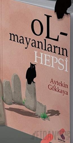 Olmayanların Hepsi Aytekin Gökkaya