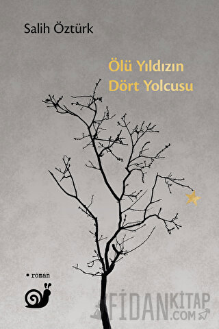 Ölü Yıldızın Dört Yolcusu Salih Öztürk