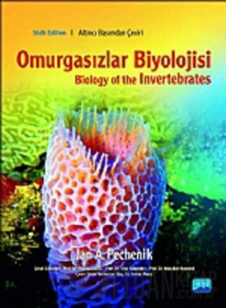 Omurgasızlar Biyolojisi - Biology of the Invertebrates Jan A. Pechenik