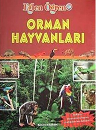 Orman Hayvanları Kolektif