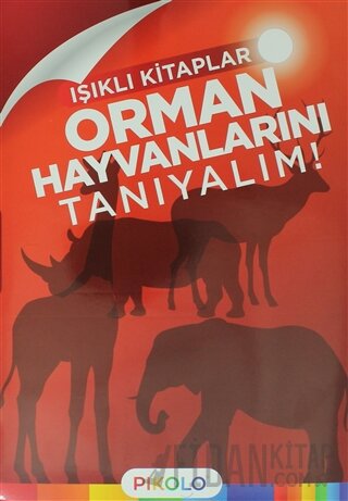 Orman Hayvanlarını Tanıyalım! - Işıklı Kitaplar Kolektif