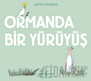 Ormanda Bir Yürüyüş Gwyn Perkins