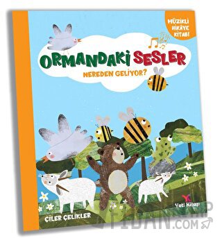 Ormandaki Sesler Nereden Geliyor? Çiler Çelikler