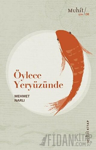 Öylece Yeryüzünde Mehmet Narlı