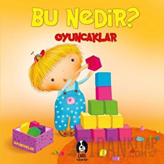 Oyuncaklar - Bu Nedir? (Ciltli) Elif Tahmiscioğlu