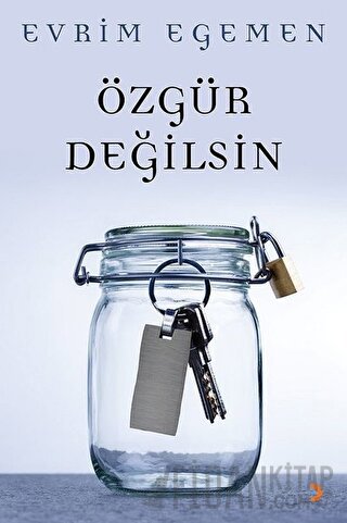 Özgür Değilsin Evrim Egemen