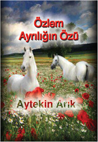 Özlem Ayrılığın Özü Aytekin Arık