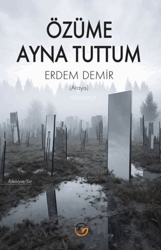 Özüme Ayna Tuttum - Arayış Erdem Demir