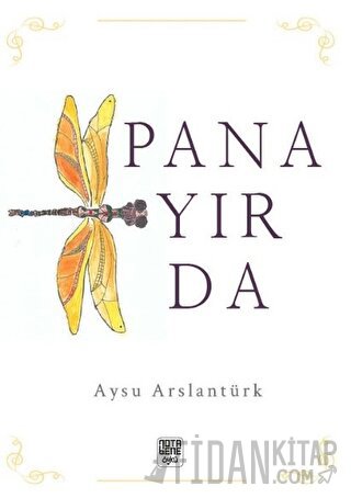 Panayırda Aysu Arslantürk