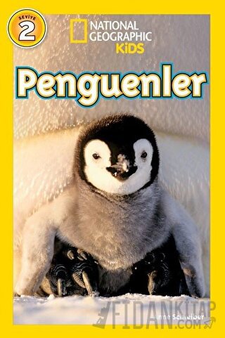 Penguenler Anne Schreiber