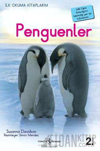 Penguenler Susanna Davidson