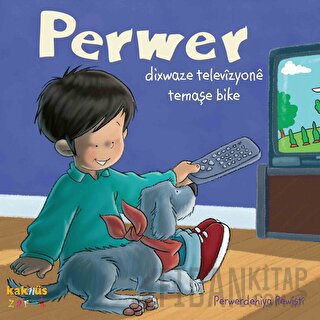 Perwer Dixwaze Televizyone Temaşe Bike Perwerdehiya Rewişti