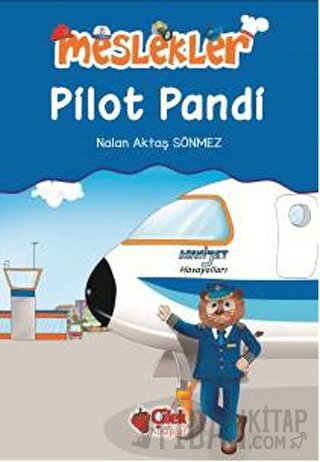 Pilot Pandi Nalan Aktaş Sönmez