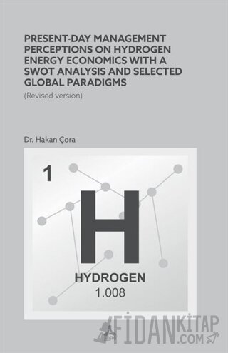 Present-Day Management Perceptions on Hydrogen Energy Economics whit A