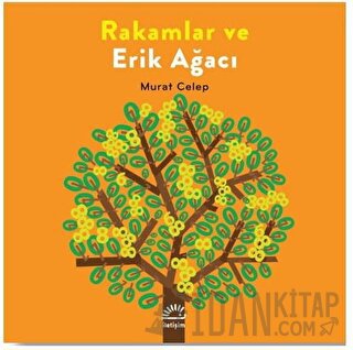 Rakamlar ve Erik Ağacı Murat Celep