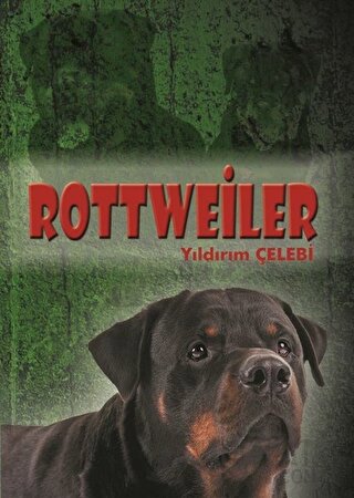 Rottweiler Yıldırım Çelebi