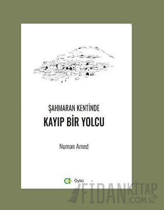 Şahmaran Kentinde Kayıp Bir Yolcu Numan Amed