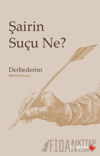 Şairin Suçu Ne? Bülent Pancarcı