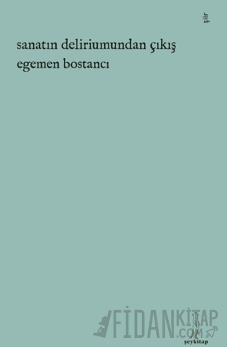 Sanatın Deliriumundan Çıkış Egemen Bostancı