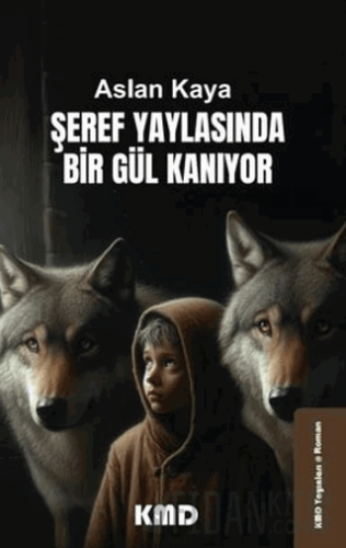 Şeref Yaylasında Bir Gül Kanıyor Aslan Kaya