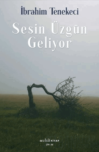 Sesin Üzgün Geliyor İbrahim Tenekeci