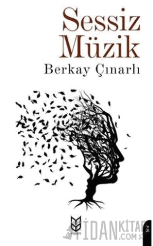 Sessiz Müzik Berkay Çınarlı