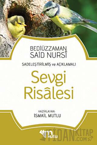 Sevgi Risalesi Bediüzzaman Said Nursi