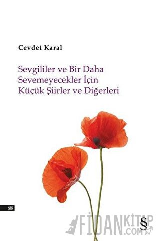 Sevgililer ve Bir Daha Sevemeyecekler İçin Küçük Şiirler ve Diğerleri 