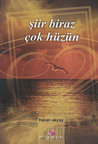 Şiir Biraz Çok Hüzün Hasan Akçay