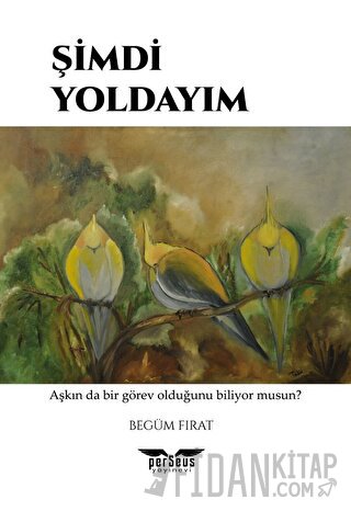 Şimdi Yoldayım Begüm Fırat