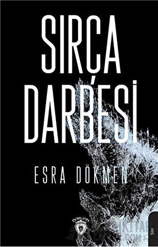 Sırça Darbesi Esra Dökmen