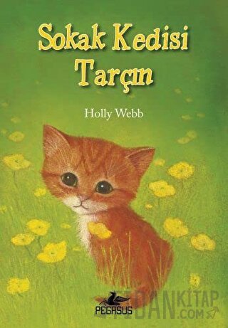 Sokak Kedisi Tarçın Holly Webb