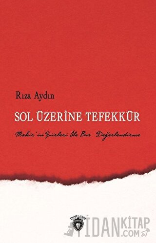 Sol Üzerine Tefekkür (Ciltli) Rıza Aydın