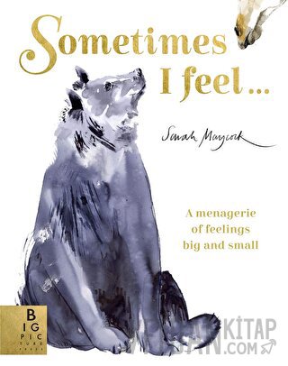 Sometimes I Feel... (Ciltli) Sarah Maycock