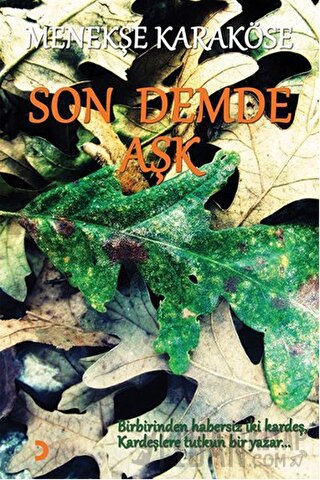 Son Demde Aşk Menekşe Karaköse