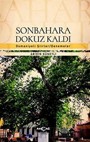 Sonbahara Dokuz Kaldı Abidin Güneyli