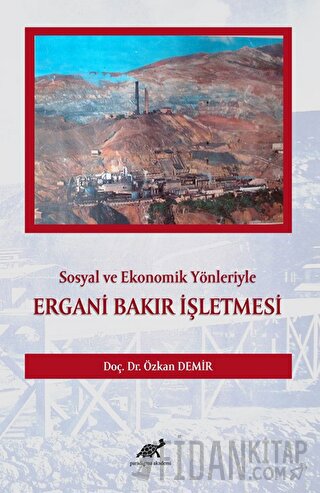 Sosyal ve Ekonomik Yönleriyle Ergani Bakır İşletmesi Özkan Demir