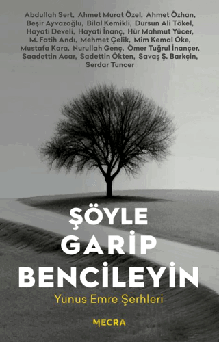 Şöyle Garip Bencileyin Yunus Emre Şerhleri Serdar Tuncer