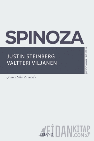 Spinoza Justin Steinberg