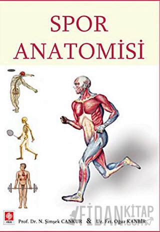 Spor Anatomisi N. Şimşek Cankur