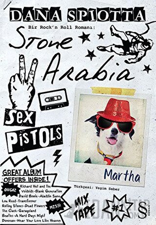 Stone Arabia Dana Spiotta